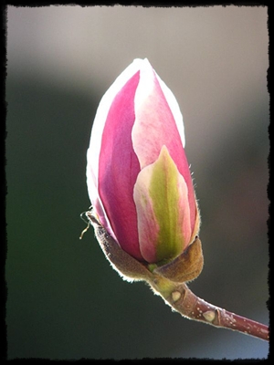 981107154_5a5d90bf03