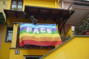 Bandiera_pace