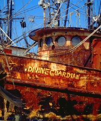 77f03b81525c329cf418a4c357baa421