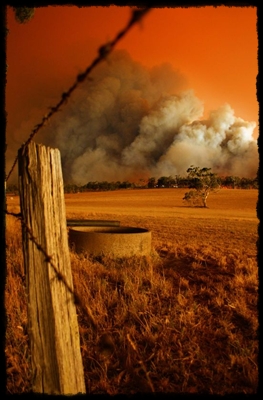 From www.abc.net.au/news/photos