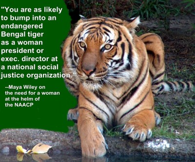 Bengal_Tiger_at_Houston_Zoo_by_pixelwitch